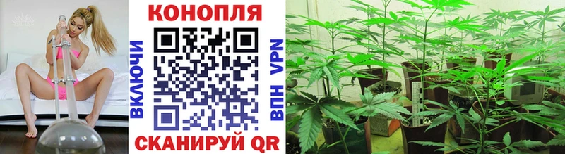 Бошки Шишки конопля  магазин продажи наркотиков  Хилок 